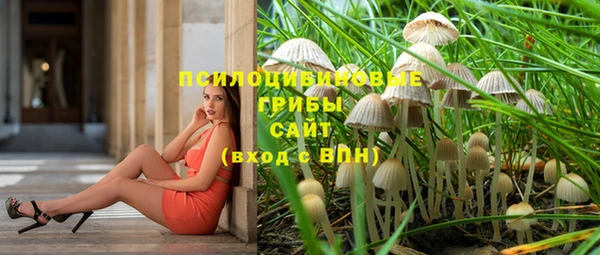 PSILOCYBIN Абдулино