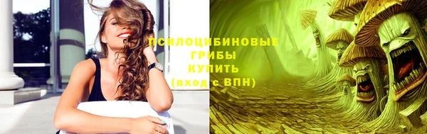 PSILOCYBIN Абдулино