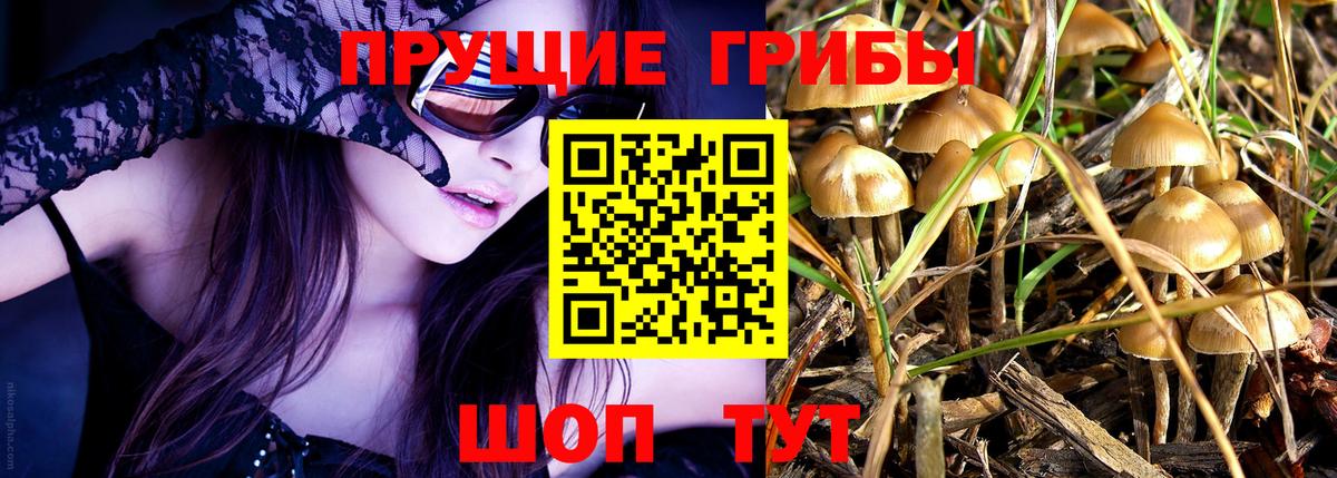 Кашира  Галлюциногенные грибы Magic Shrooms  Вход с VPN 